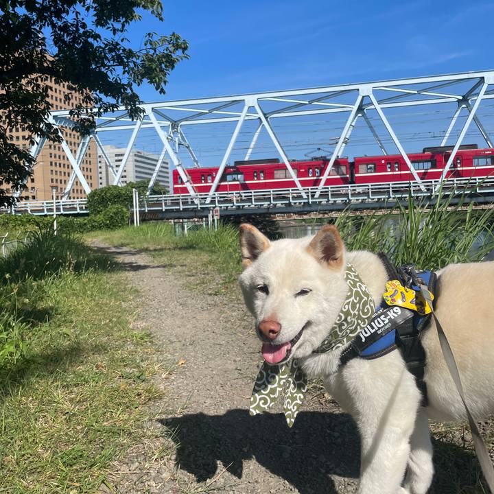 C41b57ad 76fd 40ce b165 3755b91a7850 1689476369979