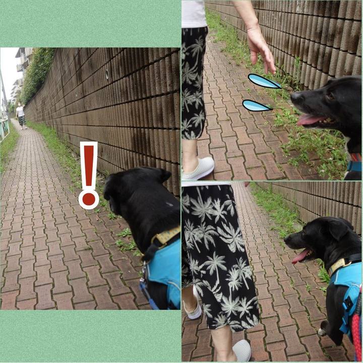 C41b78fc 0696 4178 afff 18410766fe46 1625969412613