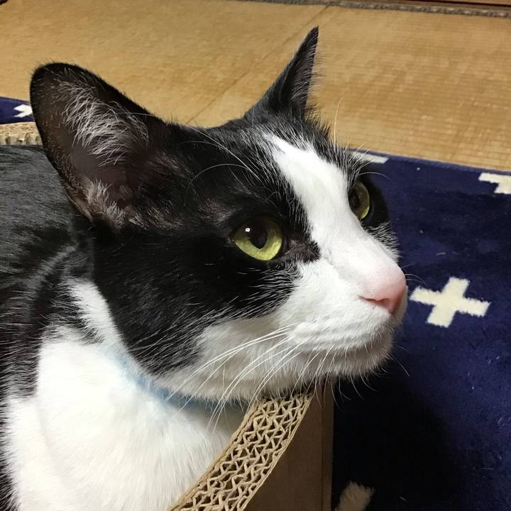 C41b8cdf 0643 49f6 8415 3173782ec3ec 1736419301257