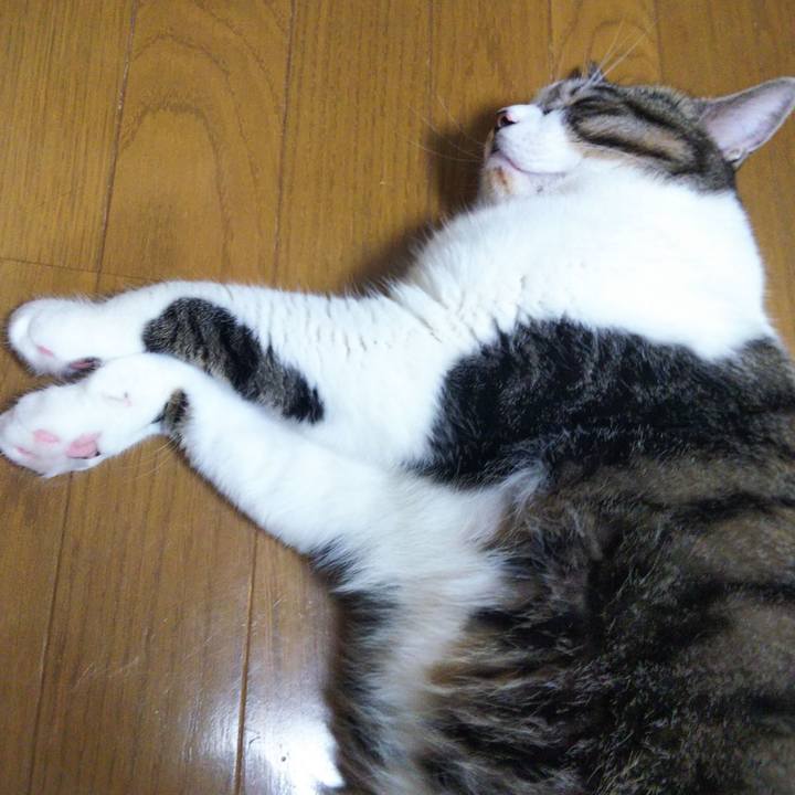 C41b8efd 6d8d 405e a25b ffcb65cce65b 1660480673324