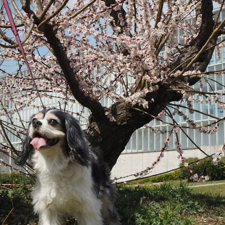 C41bda09 d355 4abe a9b0 e62c67cd6e3a 1520740256683