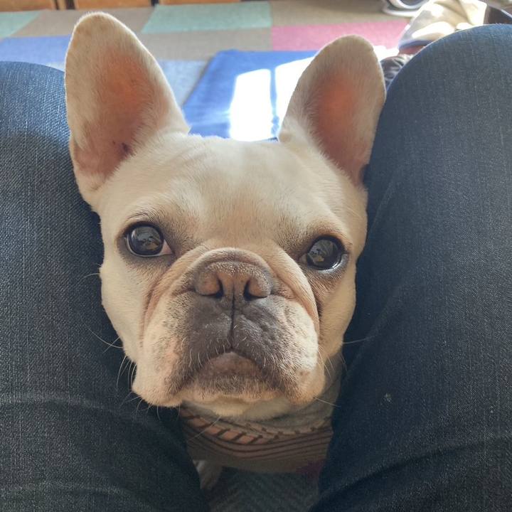 C41c0cf9 f2f0 4e75 8a1b 3706446d58a1 1707814876082