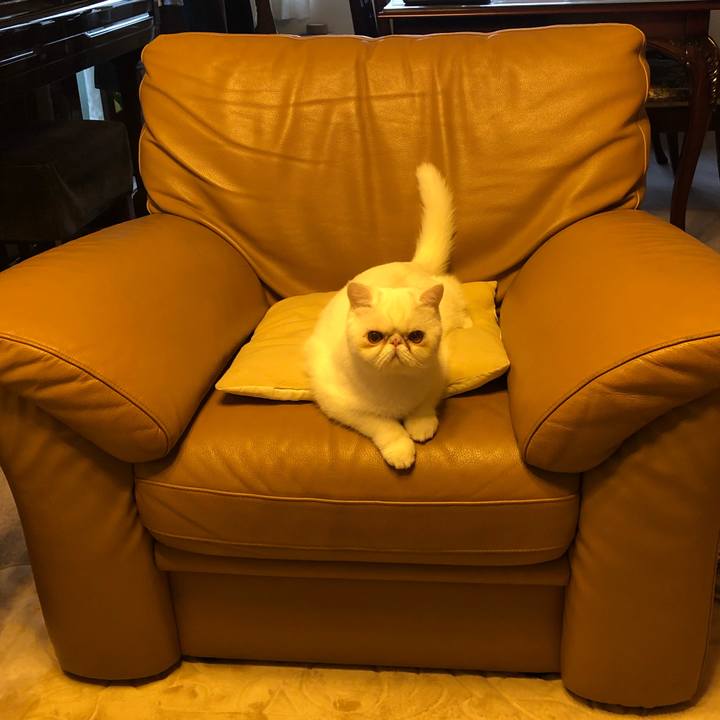 C41c1c7e e827 4813 b9c9 a4519b7ad617 1571727951917