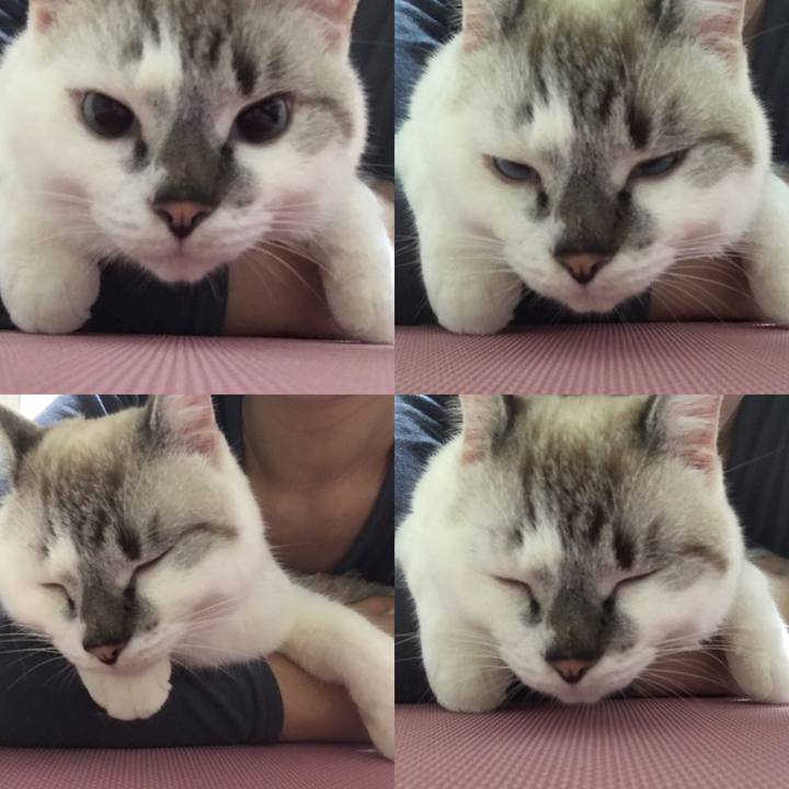 C41c21af a0e0 4e3e a5d5 031119775f3d 1507727418958