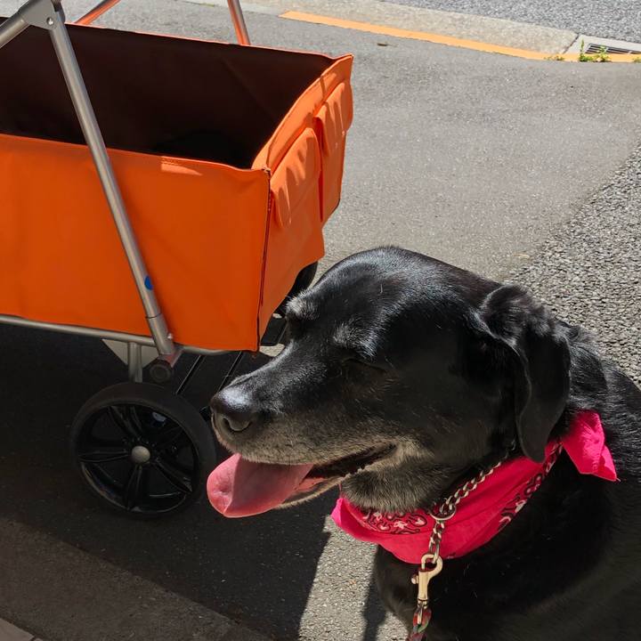 C41c4ead b7de 4860 aeb0 3af7f3092d31 1619055486684