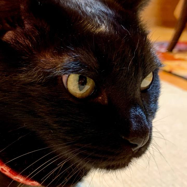 C41c546e faec 4194 8cc1 179f3f3979f7 1649507402859