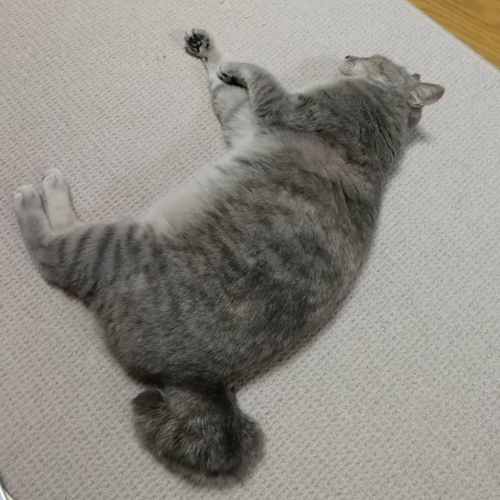 C41c5cd8 95f3 4103 a1e6 f09fe22335f6 1537966424063