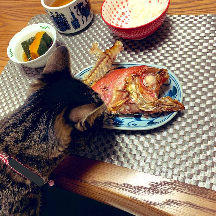 C41c60bd 02ab 4bcf 978b b2c7cead684b 1545610627154