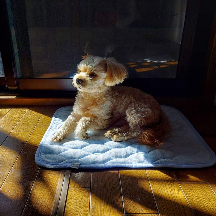 C41c94cb 335e 4de3 9f77 316a45a32f75 1635483009496