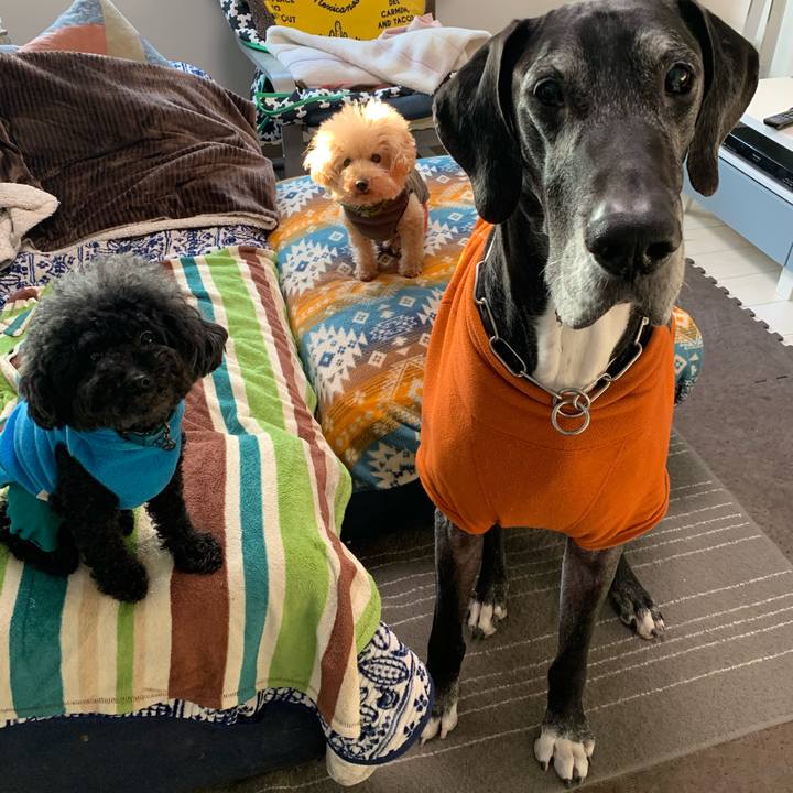 C41c9b12 eec3 4f20 bf2b 599c4687ef81 1580769998261