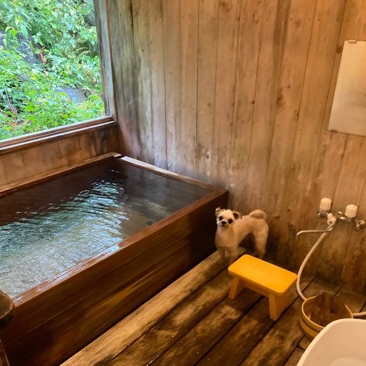 C41cb016 19aa 4776 98ee e33ac7a05df3 1570176618856