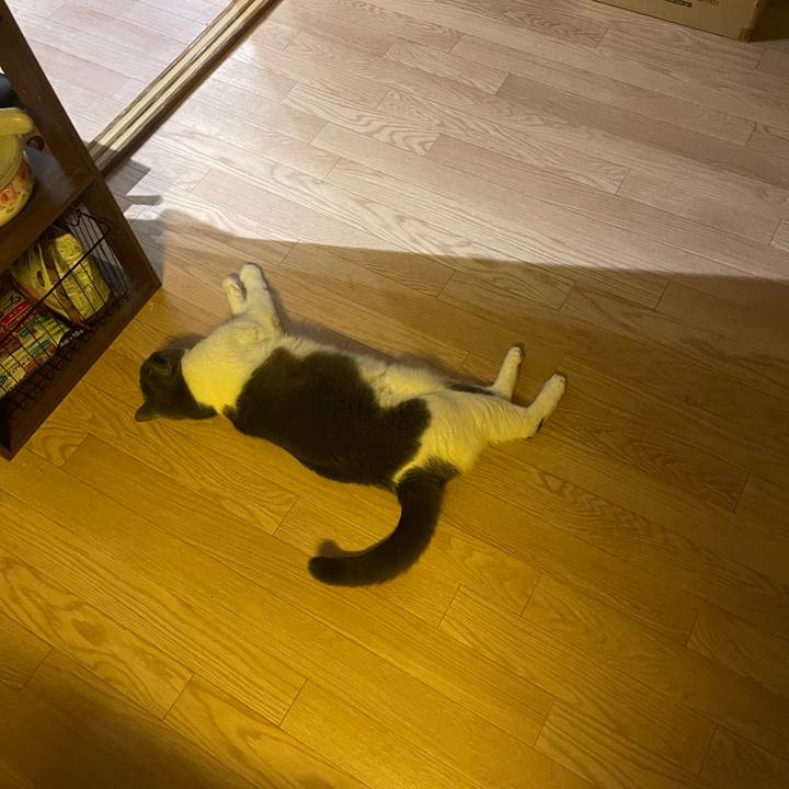 C41cbdb0 90f2 4258 a6f0 c3211718c5d4 1757761834468