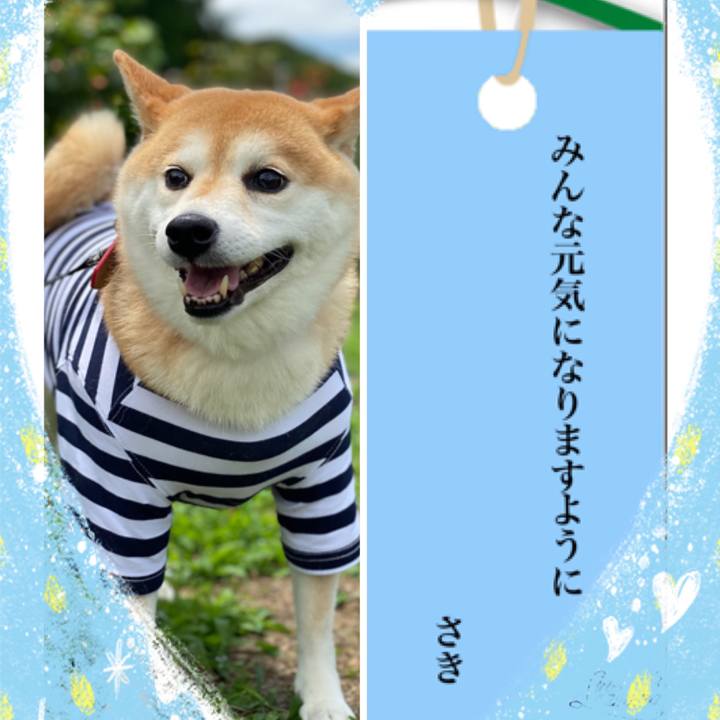 C41cc96e 3cf9 4011 96dd b8b0910dc180 1625660948030