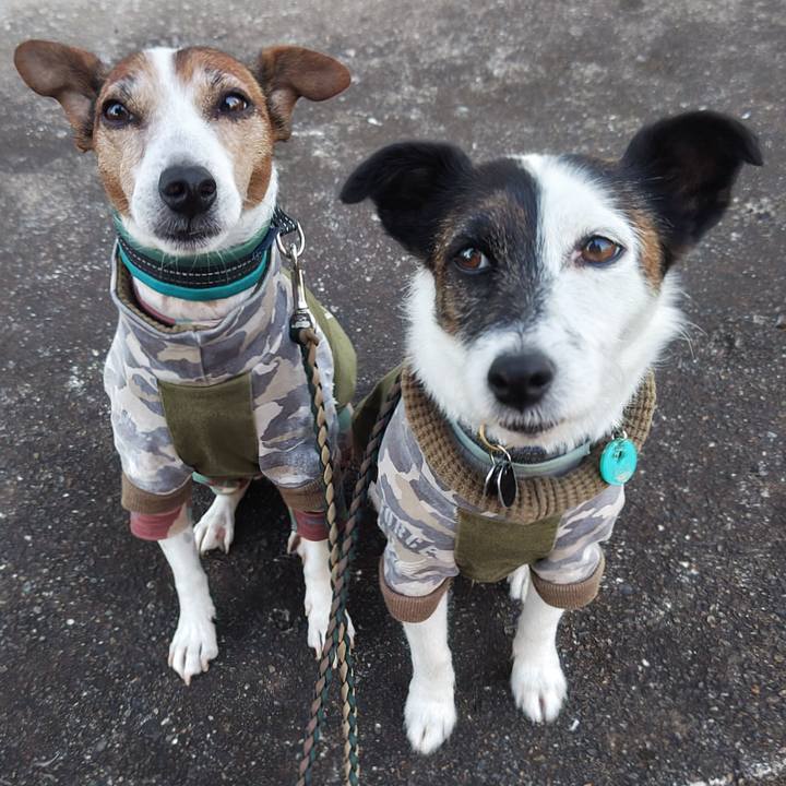 C41cd319 27b5 4a1c b82b 1b9805559407 1761775810694