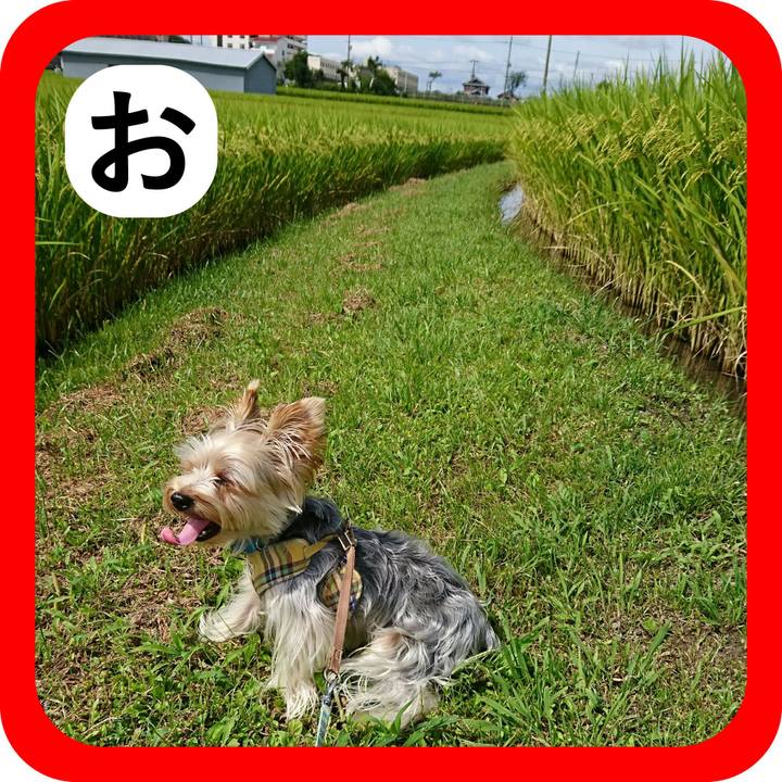 C41d34dd 466e 4db0 9894 9cfe2955b425 1514769463840