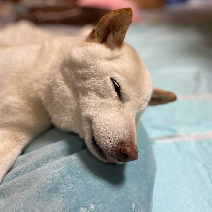 C41d5a97 727d 44d8 a92c 938deb027580 1646220527917