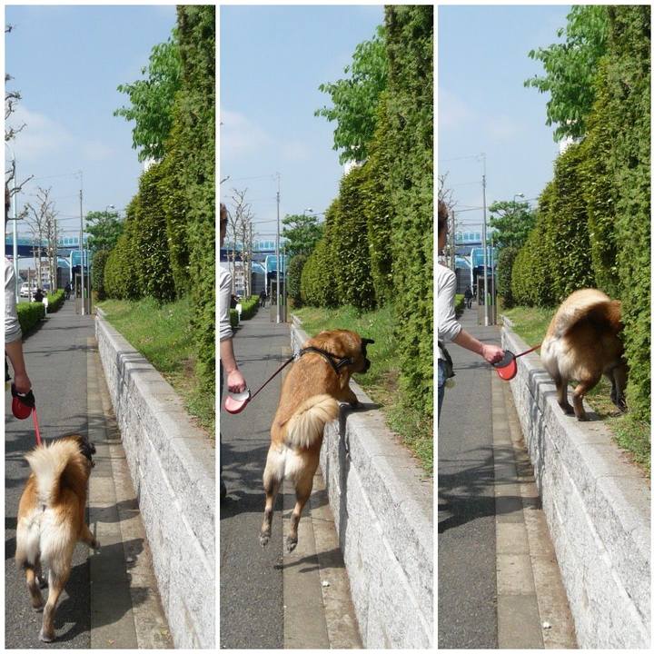 C41d85ea 6d75 42fb b141 d9a9be200a28 1577924808535