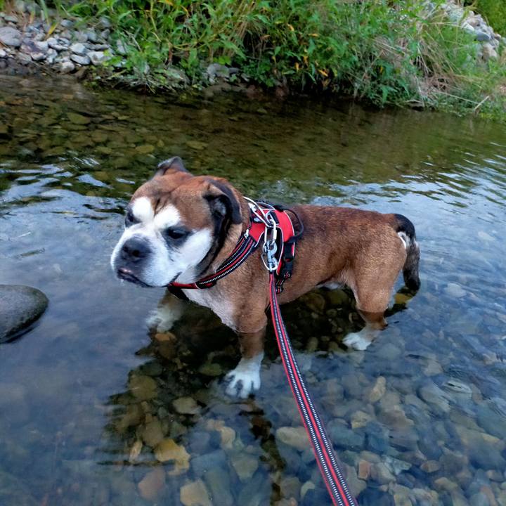 C41d9bb2 eb84 4edb bb81 880d17fdb23e 1628298841180