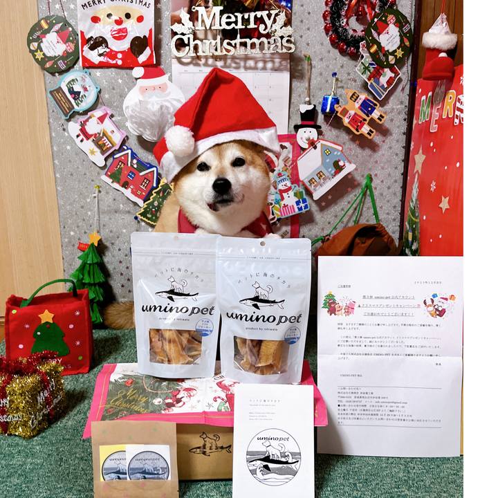 C41db07e db9d 4a10 a99f f88d4902a2de 1703493330619