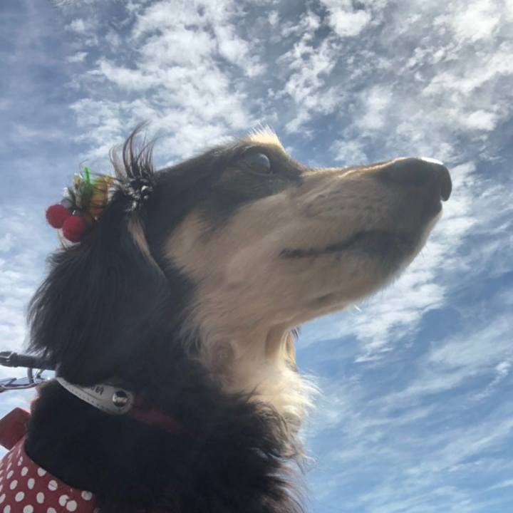 C41db15a 17f3 4a18 89f2 cf205ec74184 1558484111042