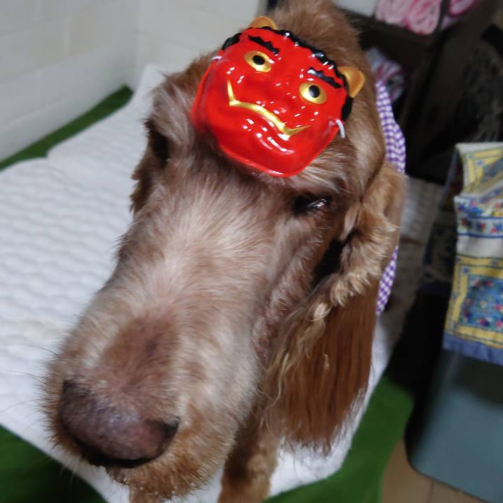 C41db839 89e9 4635 bc51 e3f05f274bb4 1738494275778