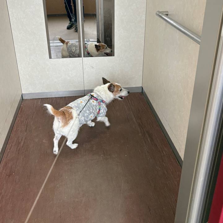 C41dc391 0715 4afe 9c92 f46e14313342 1747870861373