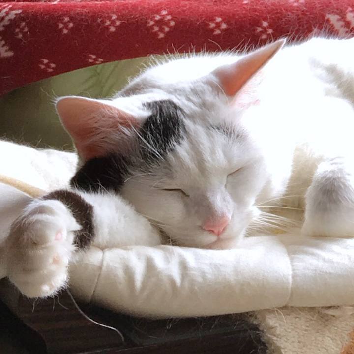 C41dc5d8 ce54 4187 9427 13270e781718 1567048028210