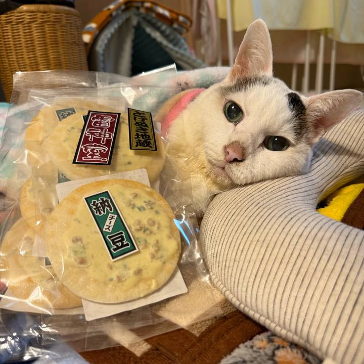 C41de64b 83fa 4c56 bff1 bfdf9412c136 1765680326851