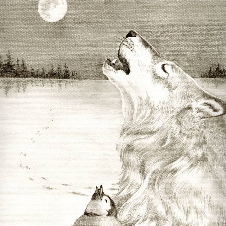 C41e18ff 2b81 4fce 8f69 90fb57d61f2f 1510067751278