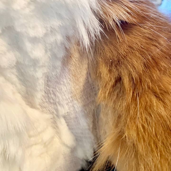 C41e1a80 f927 466b 91b0 60843753934a 1565773017363