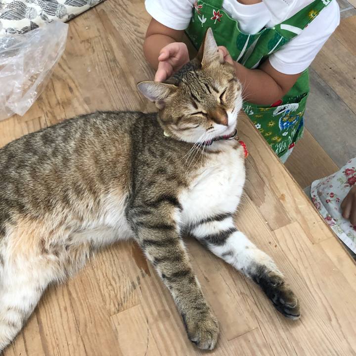 C41e2f8c ff57 4a12 90c0 2dd9228ee0e7 1630900434714