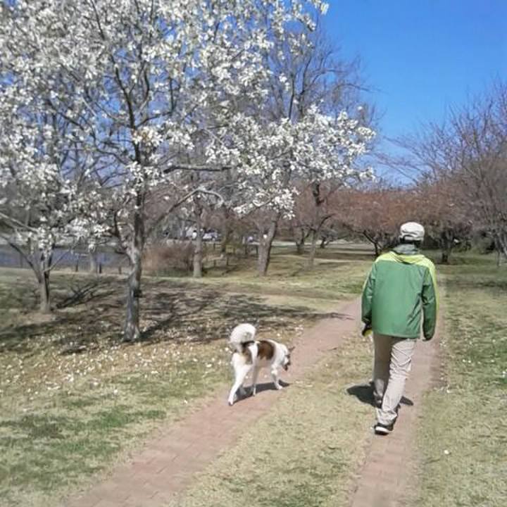 C41e44b1 c976 4989 a558 701ac5cbb723 1522121098192