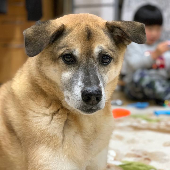 C41e69b9 eb9e 4ff6 90a3 9cb1cc71351e 1575202982939