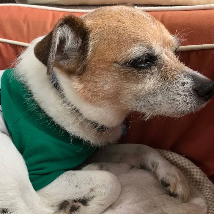 C41e925d b754 407d a716 01a183aff277 1590298290750