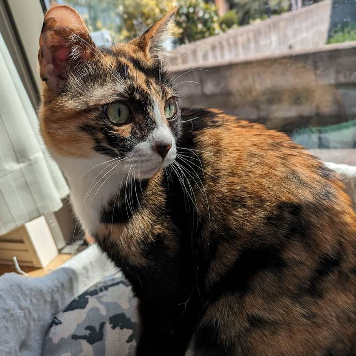 C41ed6cd 3518 4579 aac4 0e7a42fd35cf 1711516352547