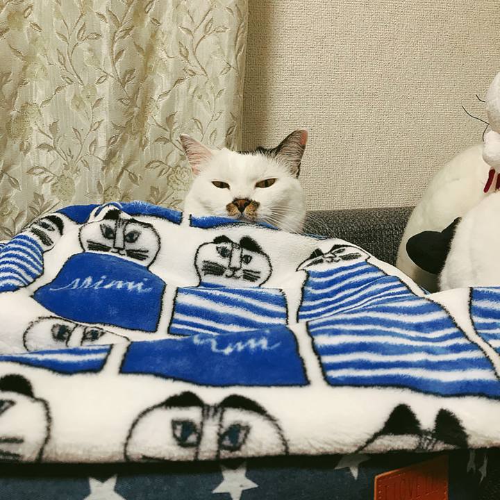 C41ee13c 1db9 4cde 93b2 0de9c4c69ea6 1508137756693