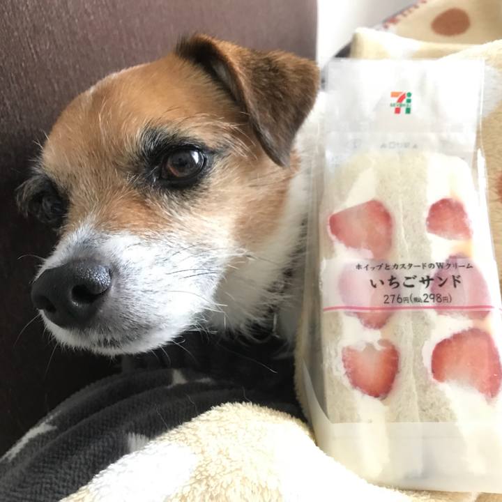 C41ef47a 0829 48ec 8aae b85cf93d81e5 1518134782590