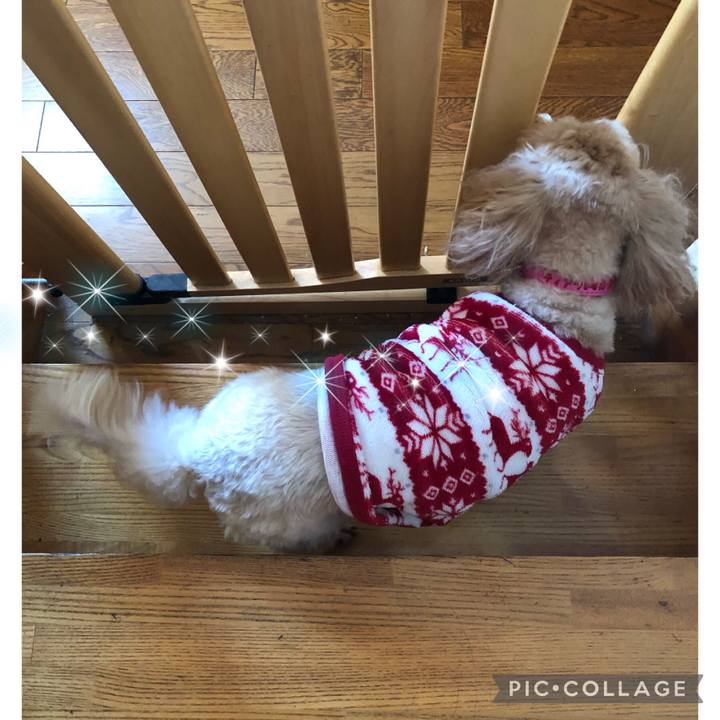 C41f0a87 585f 499b 90f3 433c133adf13 1634684782991