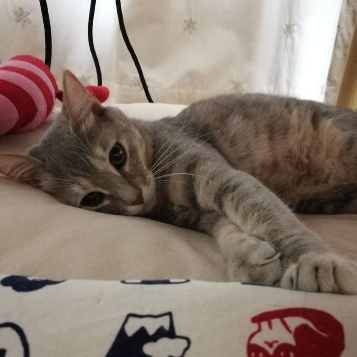 C41f1f17 7b17 4a52 a648 d60e31c05476 1524531634810