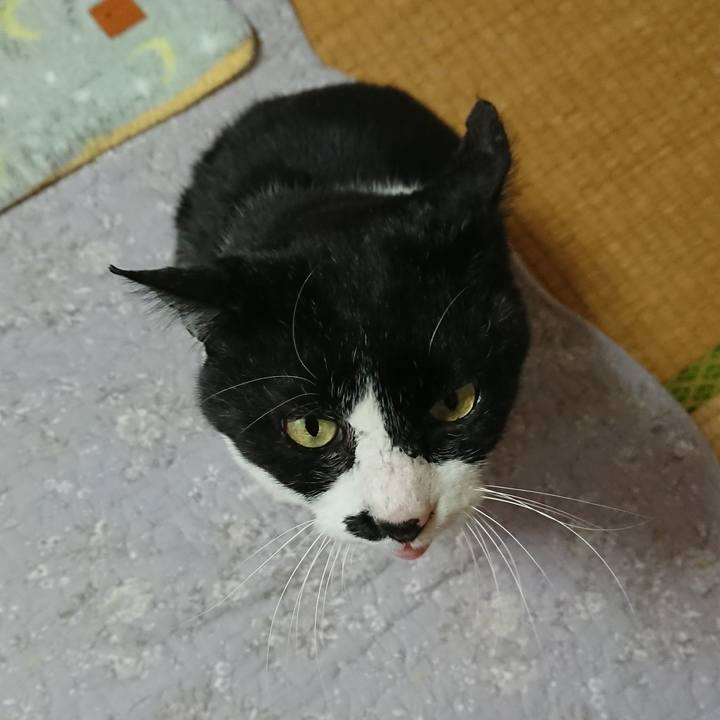 C41f2c38 53e4 4b0d ab78 e36ebcae80c3 1549166213057