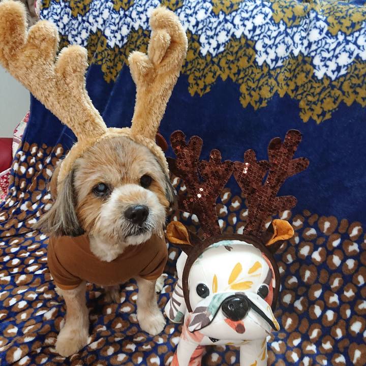 C41f5485 5ab2 4d10 a244 af6401700bfe 1633527617497