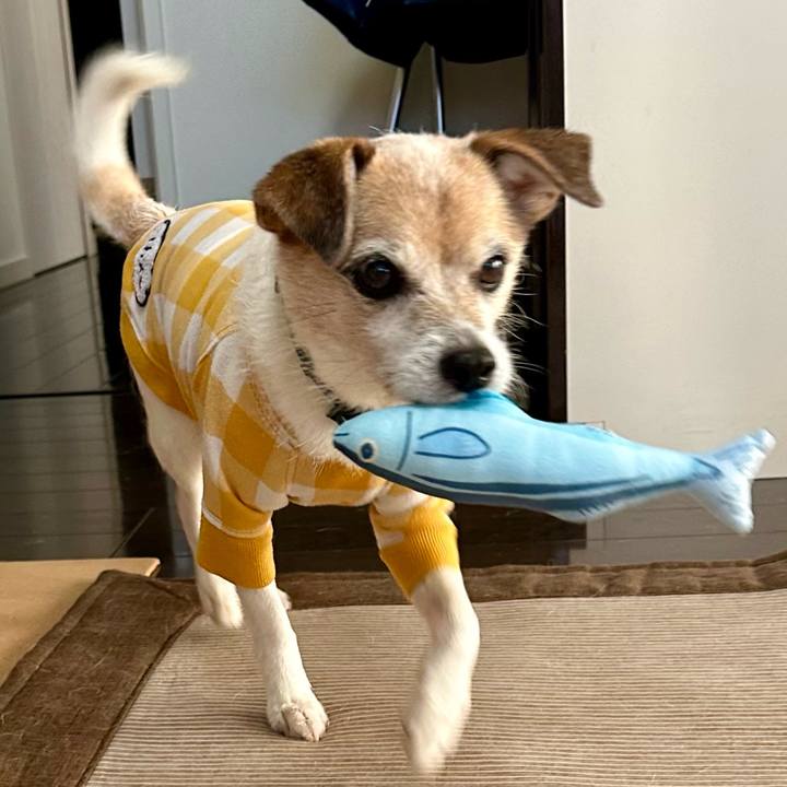 C41f5c9e c6c7 494b 9f7f d462ef8ee474 1668666966282