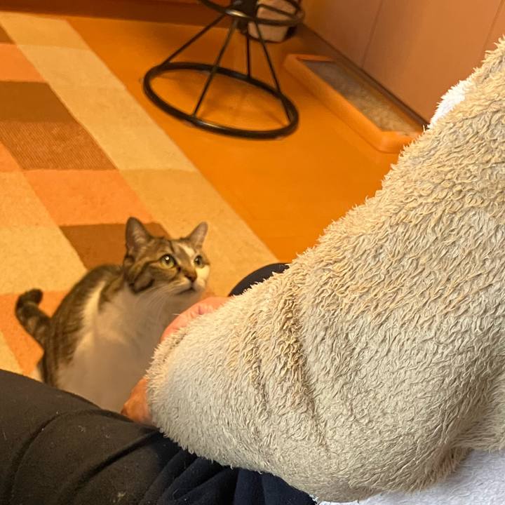 C41f673a cad2 4ef3 8956 2946eed589a9 1771979843558