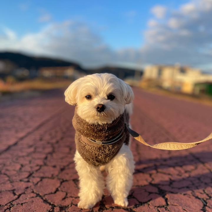 C41f80d4 6f44 4f4d a913 3477401bb831 1765319556208