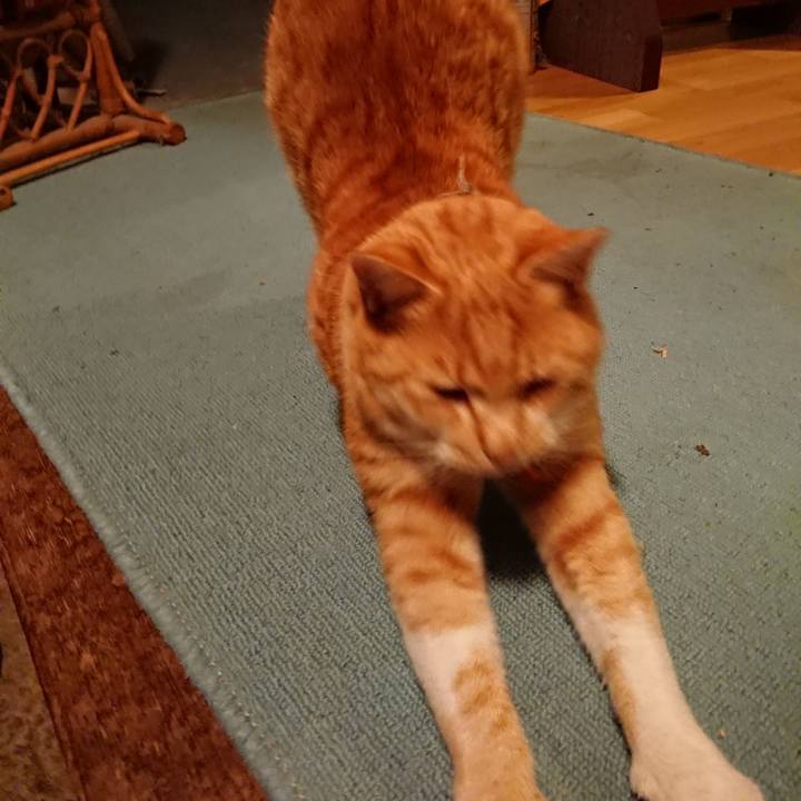 C41f86fd e3ca 4dd7 acfd eb4e1bc2275c 1575450748273