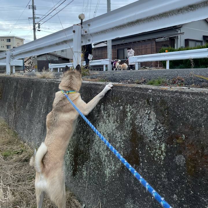 C41fcd8f 3373 4460 b9ae 3ecb97d5eb0e 1642761335157