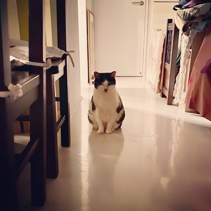 C41fdbc4 c3a2 4380 aec1 070ee4c790de 1585151595871