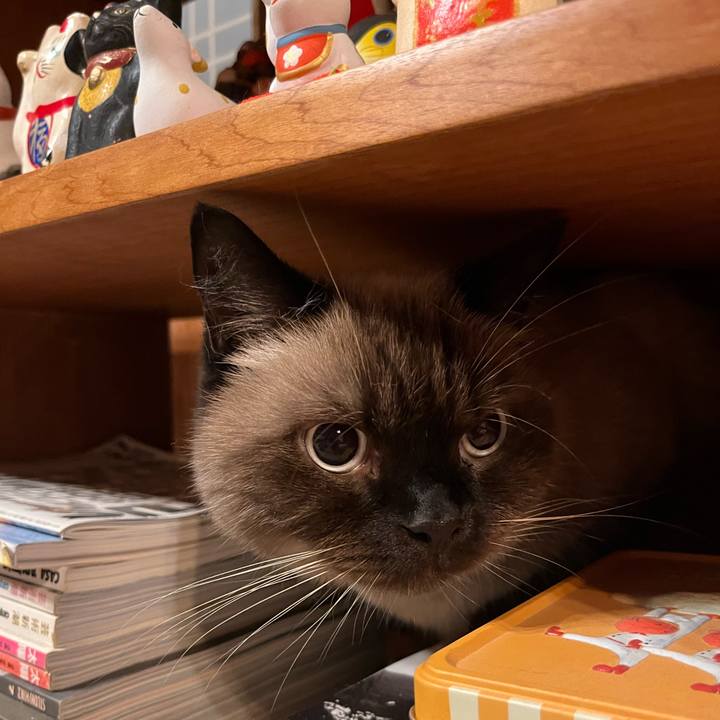 C4203a6b 02ef 4ab9 ba77 febec09f54d3 1698232631966