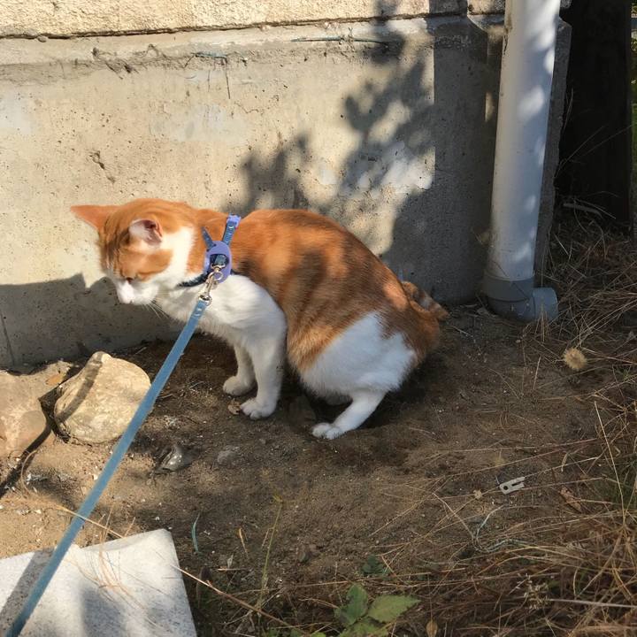 C4208ebc fb0f 460c 83ec acdd349386fc 1509706620413