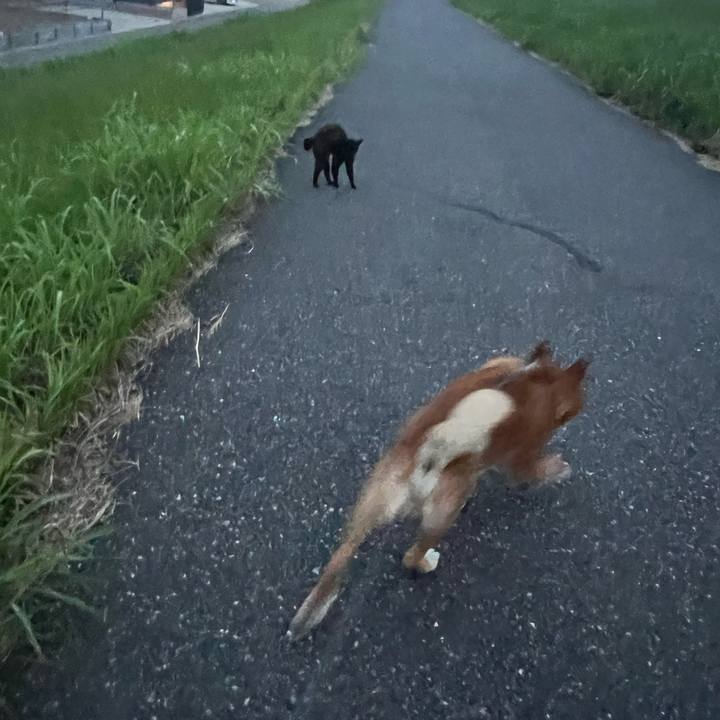 C42091ba fcdc 468a 9d5b ca721c1fc323 1718468322171